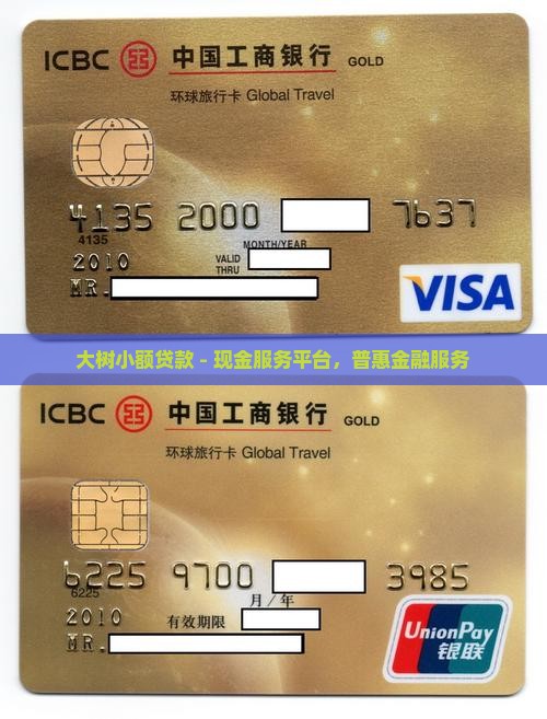 大树小额贷款