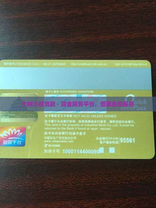 大树小额贷款
