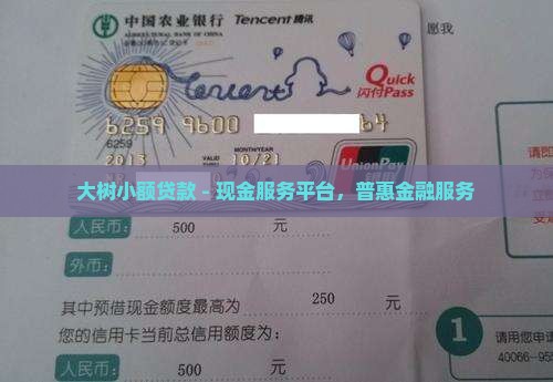 大树小额贷款