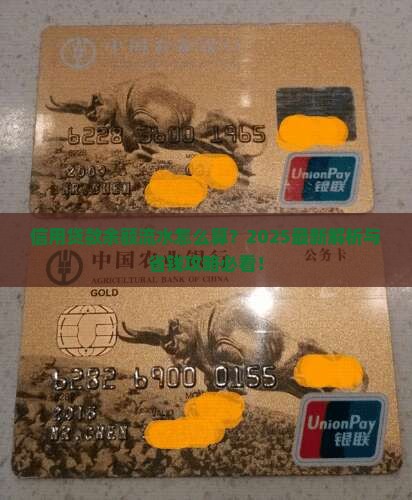 信用贷款提供的流水余额