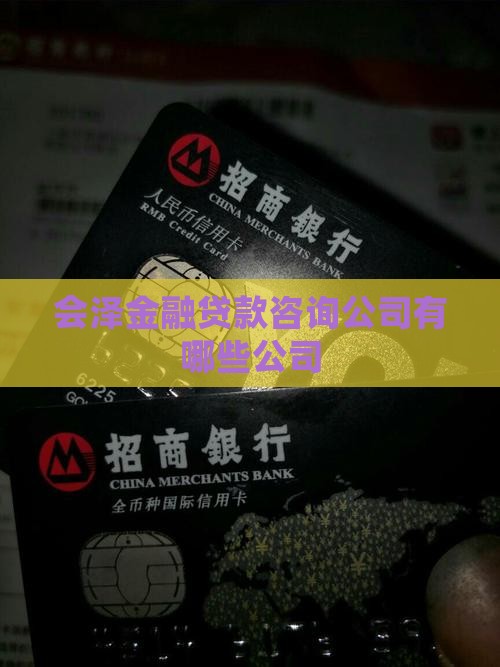 会泽金融贷款咨询公司有哪些
