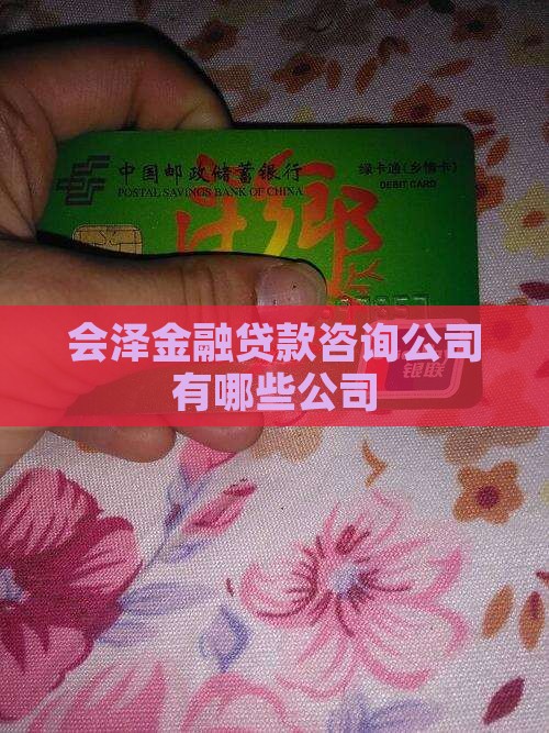 会泽金融贷款咨询公司有哪些