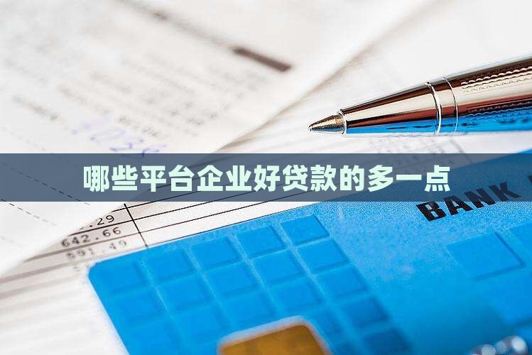 哪个平台企业好贷款的多一点