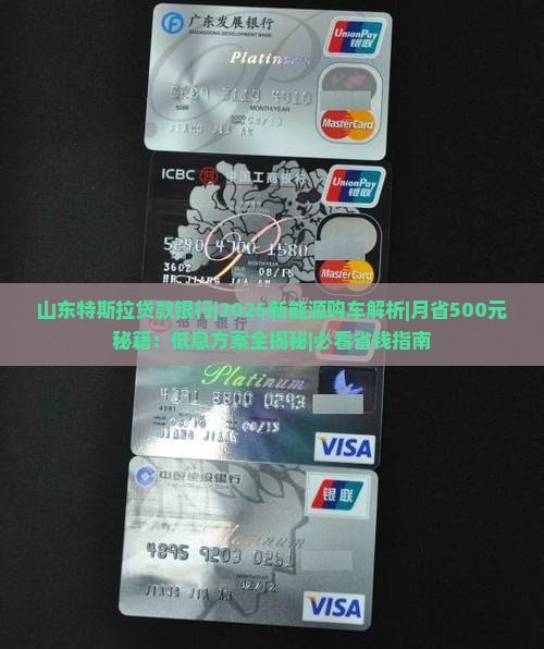 山东特斯拉贷款银行