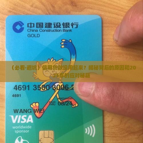 信用贷款运用不足之处