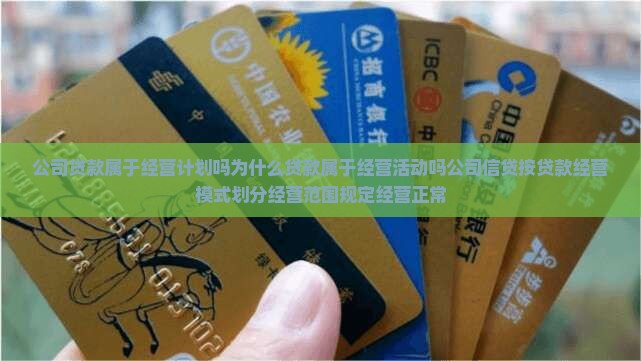 公司贷款属于经营计划吗