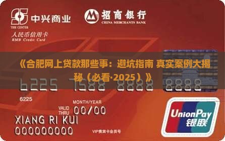 合肥网上贷款案件