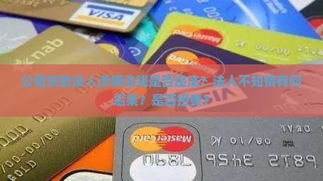 公司贷款法人涉嫌洗钱