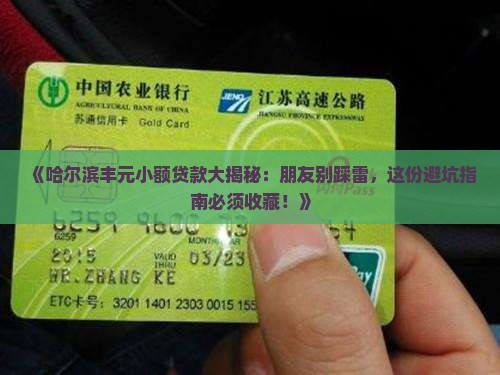 哈尔滨丰元小额贷款