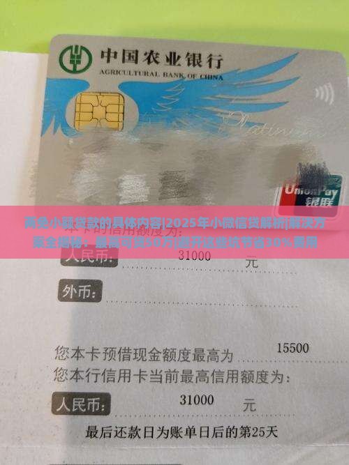 两免小额贷款的具体内容