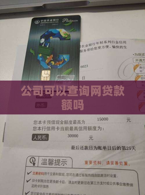 公司可以查到网贷款额吗