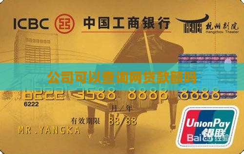 公司可以查到网贷款额吗
