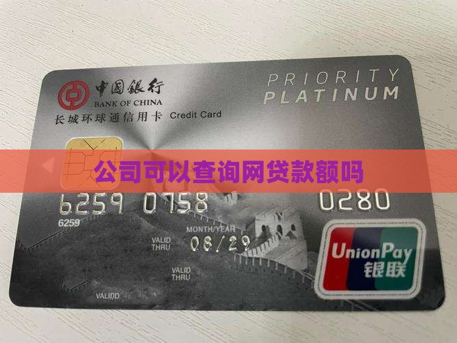 公司可以查到网贷款额吗