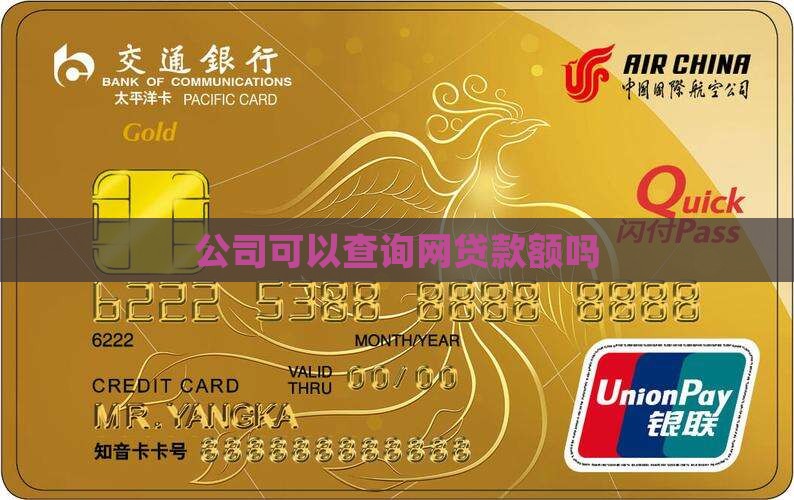 公司可以查到网贷款额吗