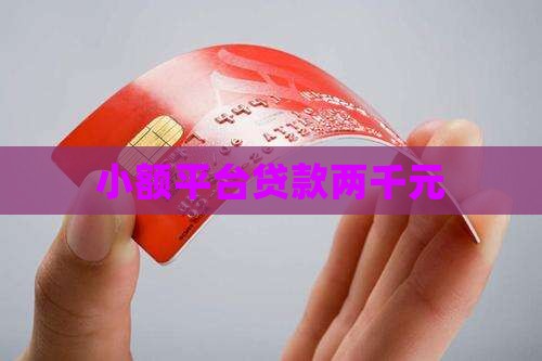 小额平台贷款两千