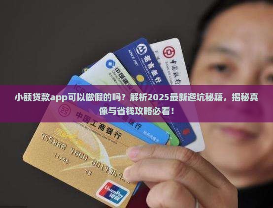 小额贷款app可以做假的吗