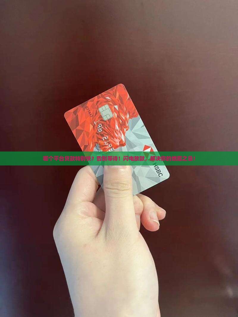 哪个平台贷款特别快