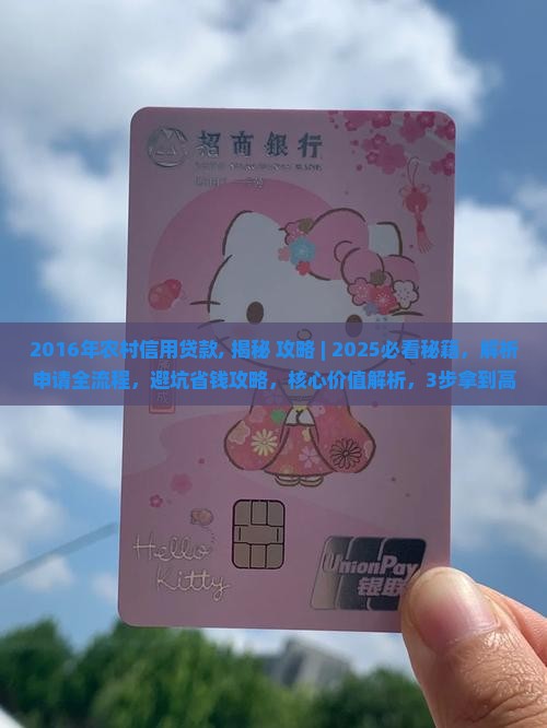 2016年农村信用贷款