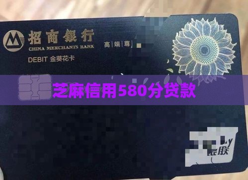580芝麻分贷款