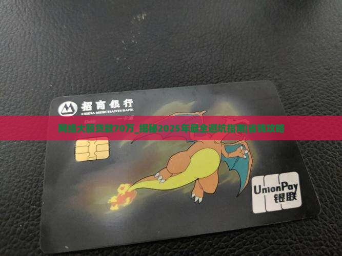 网络大额贷款70万
