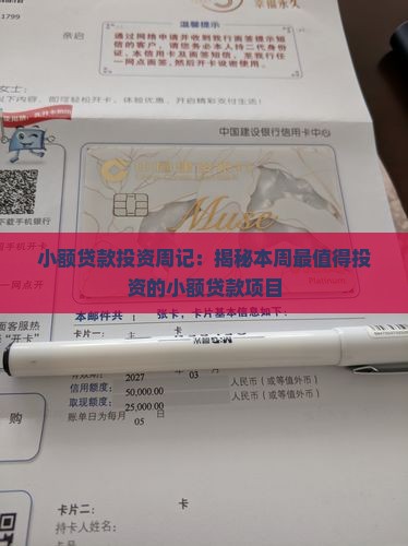 小额贷款投资周记