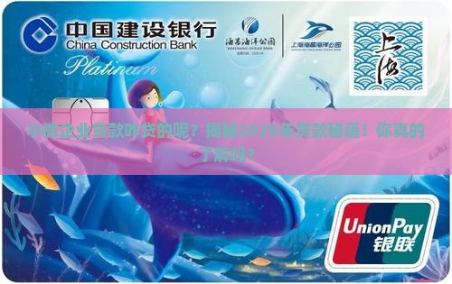 小微企业贷款咋贷的呢