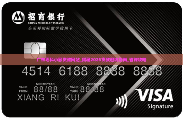 广东粤科小额贷款网站