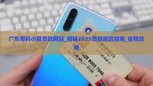 广东粤科小额贷款网站