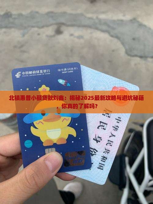 北镇惠普小额贷款刘鑫