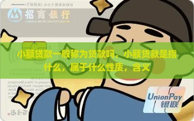 小额贷款一般称为