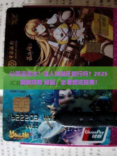 公司没流水法人能贷款吗