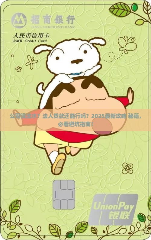 公司没流水法人能贷款吗