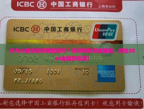 东方小额贷款有哪些银行