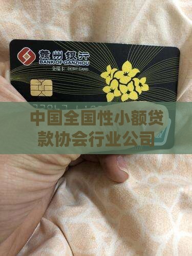 小额贷款协会是做什么的