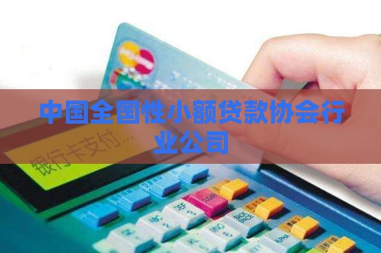 小额贷款协会是做什么的