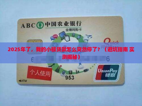 小额贷款停止运营了吗现在