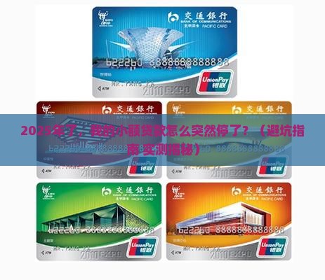 小额贷款停止运营了吗现在