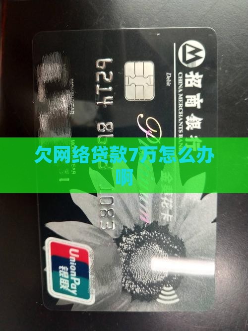 欠网络贷款7万怎么办啊