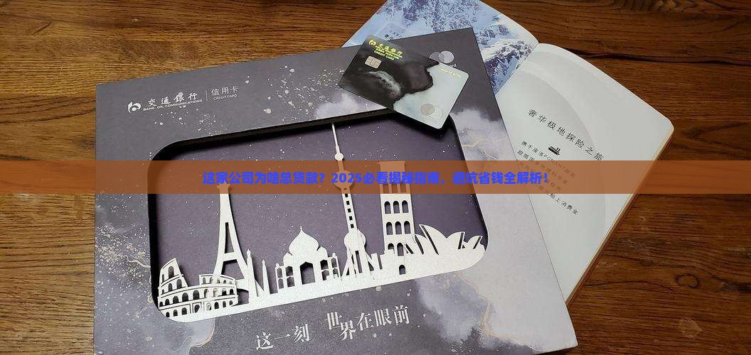 一家公司老是贷款