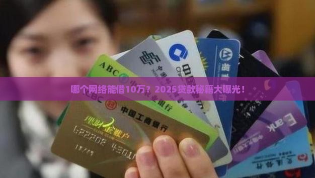 哪个网络可以贷款10万