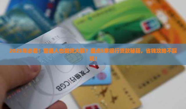 什么银行可以大额度贷款