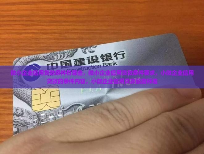 微小企业信用贷款条件