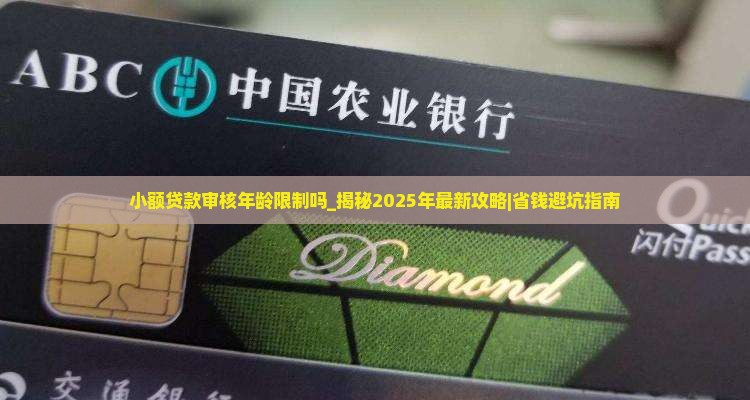小额贷款审核年龄限制吗