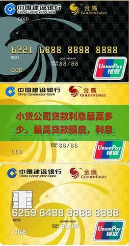 小贷公司贷款利息最高