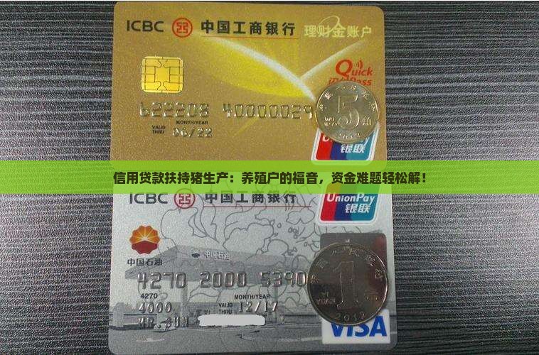信用贷款扶持猪生产