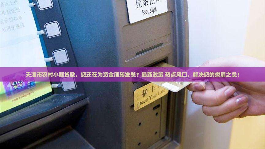 天津市农村小额贷款