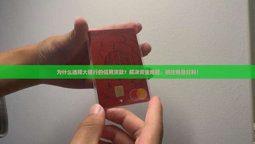 个大银行的信用贷款