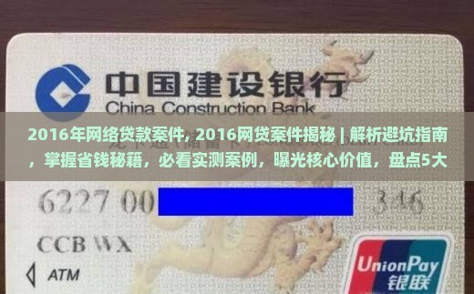2016年网络贷款案件