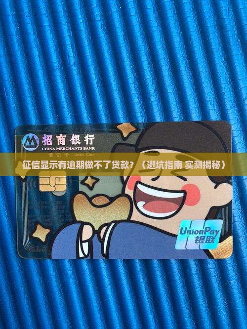 征信显示什么做不了贷款