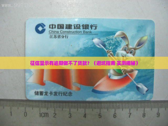 征信显示什么做不了贷款